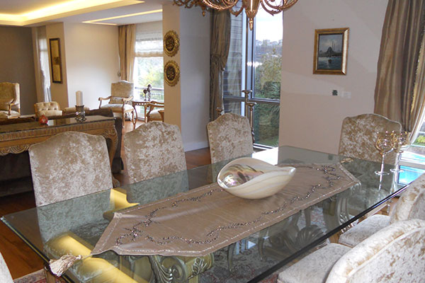 Ascı House